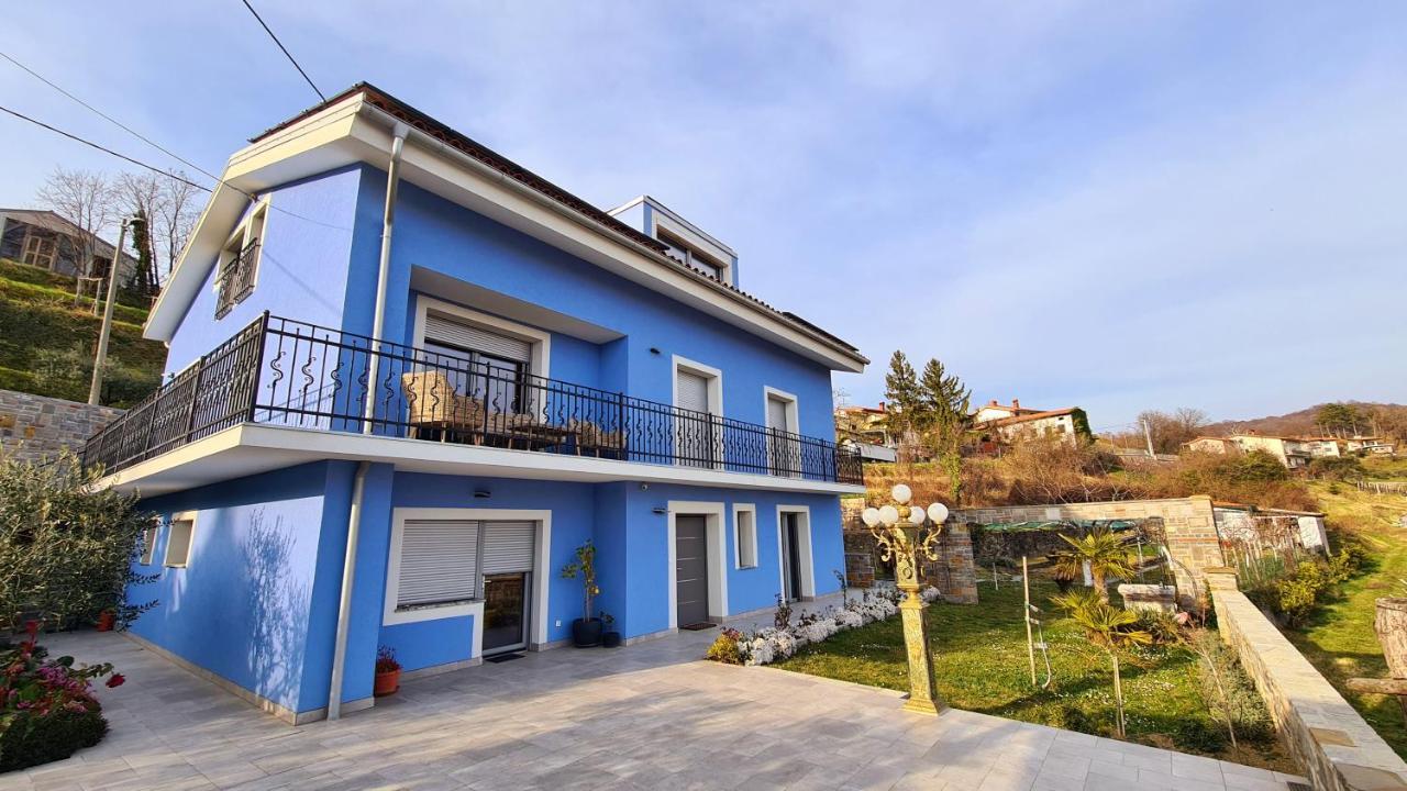Azul * Kojsko
